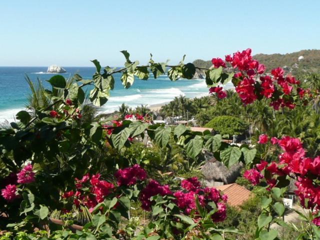 La Loma Linda, Bungalows, Yoga And Feldenkrais, Starlink Internet Zipolite Exterior photo